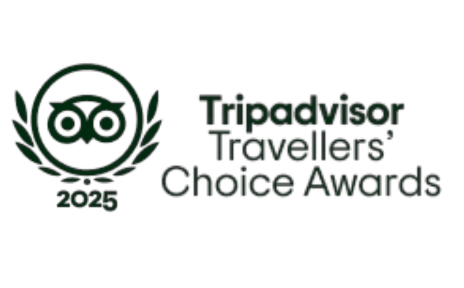 2025 Tripadvisor Traveller Choice Award