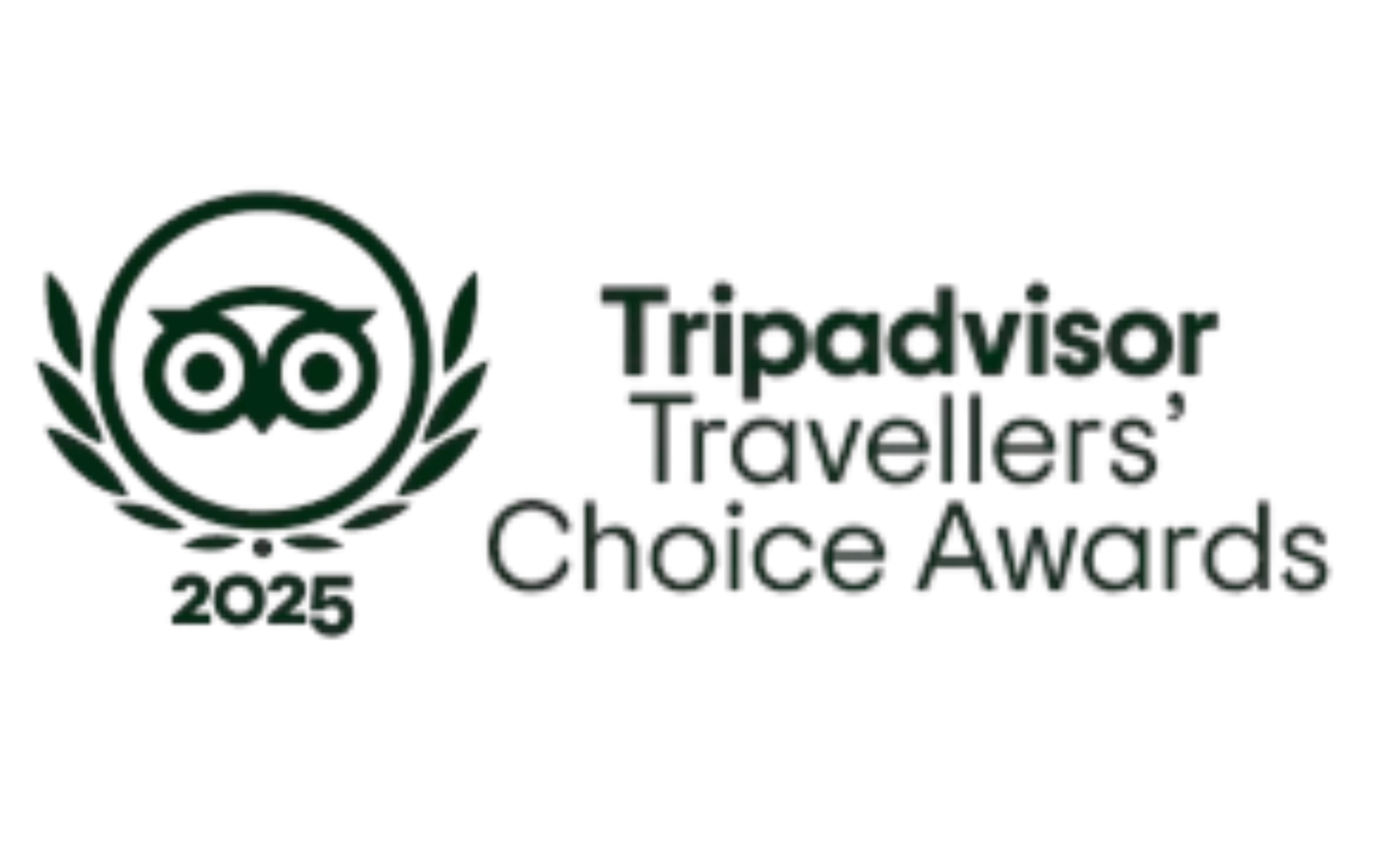 2025 Tripadvisor Traveller Choice Award